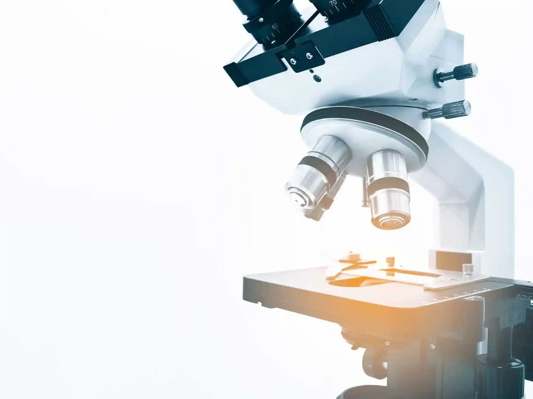 Mikroskop vor hellem Hintergrund: Titelbild der Referenz Gebrüder Kassel, Einrichter naturwissenschaftlicher Fachräume