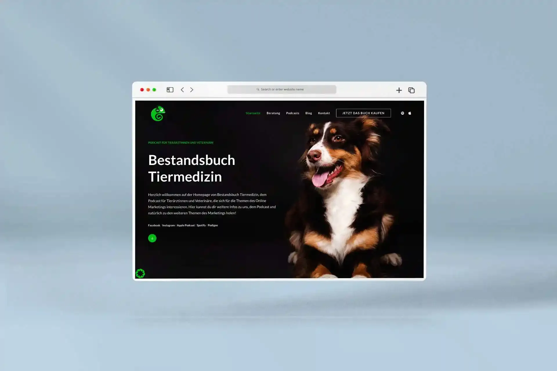 Mischler Webdesign Mannheim Designagentur Portfolio Custom Webdesign Bestandsbuch Tiermedizin Website Mockup